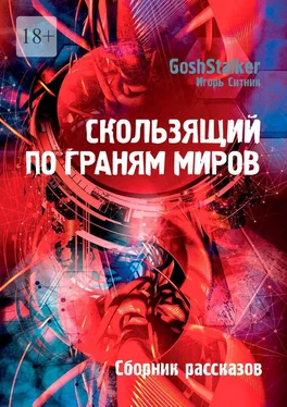 Игорь Ситник (GoshStalker) Скользящий по граням Миров. Сборник рассказов обложка книги