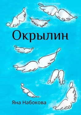 Яна Набокова Окрылин обложка книги