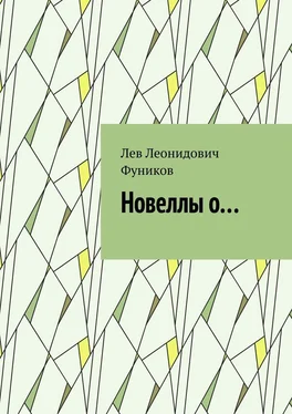 Лев Фуников Новеллы о… обложка книги