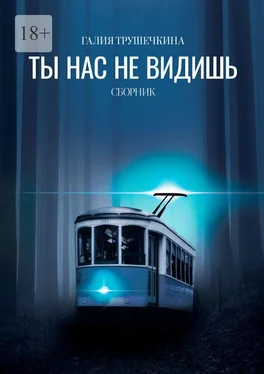 Галия Трушечкина Ты нас не видишь. Сборник обложка книги