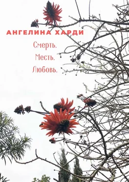 Ангелина Харди Смерть. Месть. Любовь обложка книги