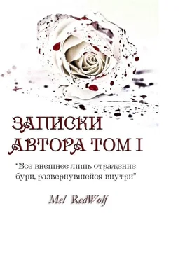 Mel RedWolf Записки автора. Том I обложка книги