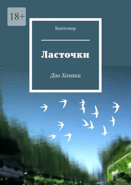 Контемир Ласточки. Дао Хомяка обложка книги