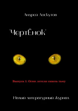 Андрей Лоскутов «ЧертЁнок». Выпуск 2. Огни летели сквозь тьму обложка книги