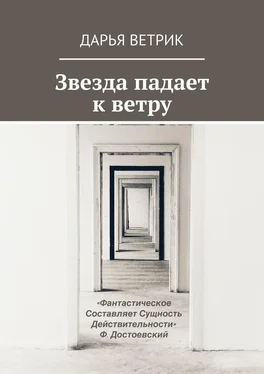 Дарья Ветрик Звезда падает к ветру обложка книги