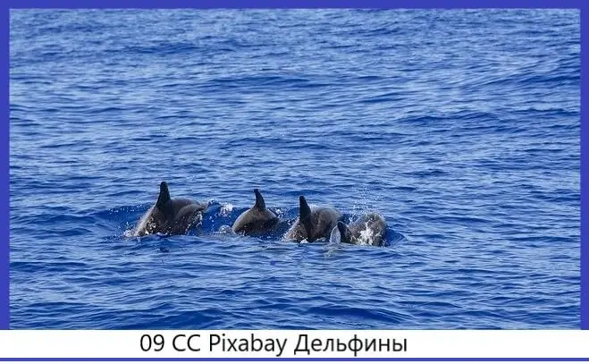 Нас несет легко и плавно по волнам то вверх то вниз Тянет двигатель наш - фото 9