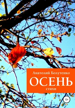 Анатолий Болутенко Осень обложка книги