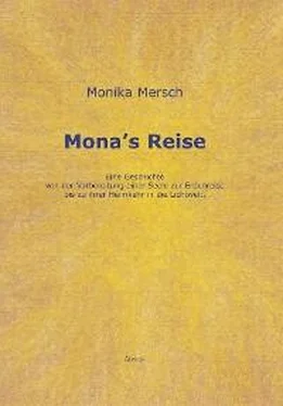 Monika Mersch Mona's Reise обложка книги