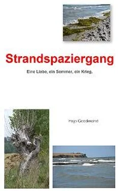 Hajo Goodewind Strandspaziergang обложка книги