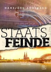 Hansjörg Anderegg - Staatsfeinde