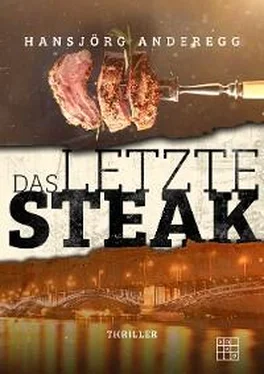 Hansjörg Anderegg Das letzte Steak обложка книги