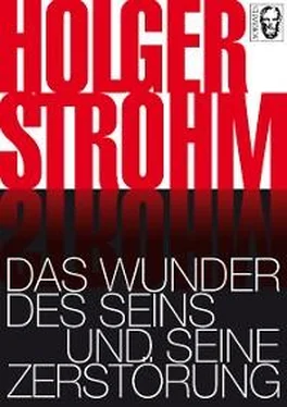 Holger Strohm Das Wunder des Seins und seine Zerstörung обложка книги