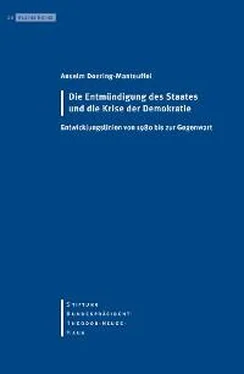 Anselm Doering-Manteuffel Die Entmündigung des Staates und die Krise der Demokratie обложка книги