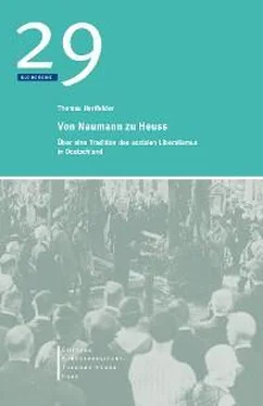 Thomas Hertfelder Von Naumann zu Heuss обложка книги