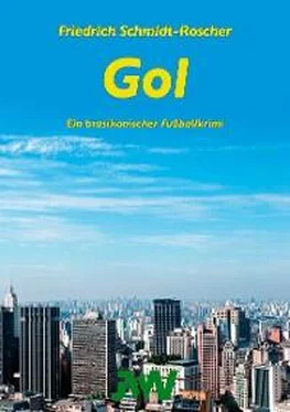 Friedrich Schmidt-Roscher Gol обложка книги