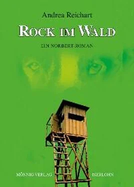 Andrea Reichart ROCK IM WALD - Ein Norbert-Roman обложка книги