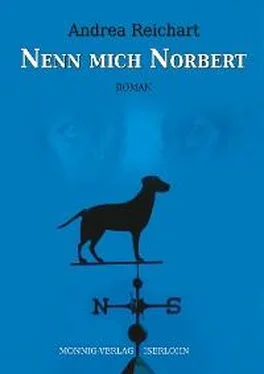 Andrea Reichart Nenn mich Norbert - Ein Norbert-Roman обложка книги