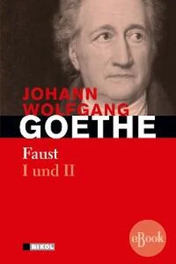 Johann Wolfgang von Goethe Faust I und II обложка книги