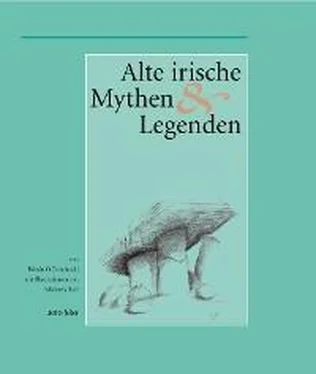 Ronan O Domhnaill Alte Irische Mythen und Legenden обложка книги