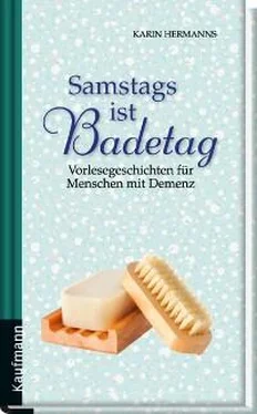 Karin Hermanns Samstags ist Badetag обложка книги