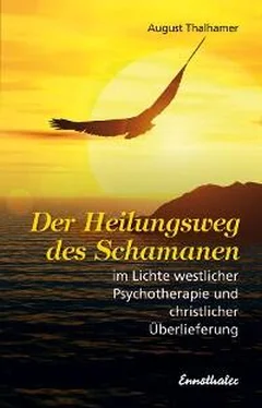 August Thalhamer Der Heilungsweg des Schamanen im Lichte westlicher Psychotherapie und christlicher Überlieferung обложка книги