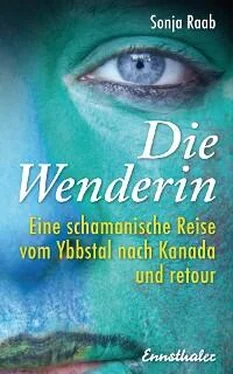 Sonja Raab Die Wenderin обложка книги