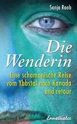 Sonja Raab - Die Wenderin