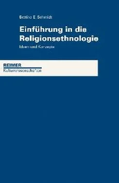Bettina Schmidt Einführung in die Religionsethnologie обложка книги