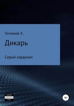 Хайдарали Усманов Дикарь. Часть 11. Серый кардинал обложка книги