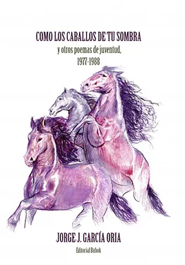 JORGE J. GARCÍA ORIA Cómo los caballos de tu sombra y otros poemas de juventud. 1977-1988 обложка книги