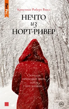 Кристиан Винд Нечто из Норт Ривер обложка книги