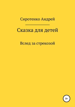 Андрей Сиротенко Вслед за стрекозой обложка книги