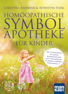 Roswitha Stark Homöopathische Symbolapotheke für Kinder обложка книги