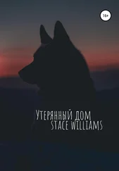 Stace Williams - Утерянный дом