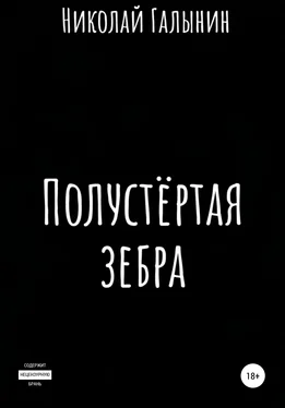 Николай Галынин Полустёртая зебра. Сборник рассказов обложка книги