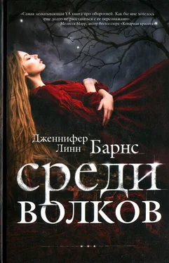 Дженнифер Барнс Среди волков обложка книги