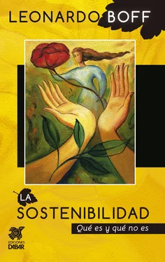 Leonardo Boff La sostenibilidad обложка книги