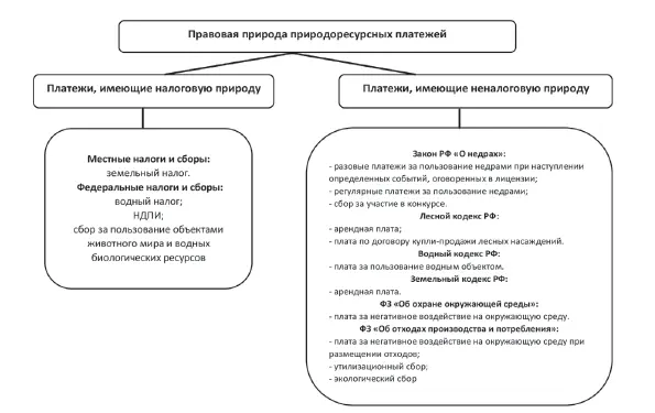 Рис 3 Правовая природа природоресурсных платежей Исследуемый вопрос не - фото 3