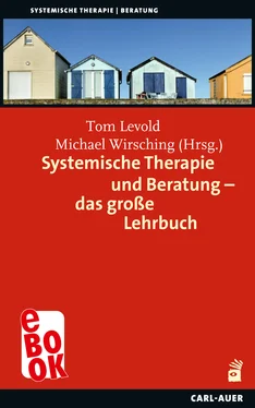 Неизвестный Автор Systemische Therapie und Beratung – das große Lehrbuch обложка книги