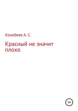 Александр Конобеев Красный не значит плохо обложка книги