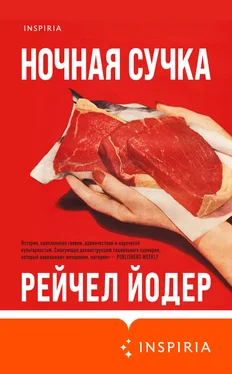 Рейчел Йодер Ночная сучка обложка книги