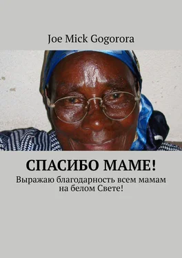 Joe Gogorora Спасибо маме! Выражаю благодарность всем мамам на белом Свете! обложка книги