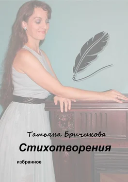 Татьяна Бричикова Стихотворения обложка книги