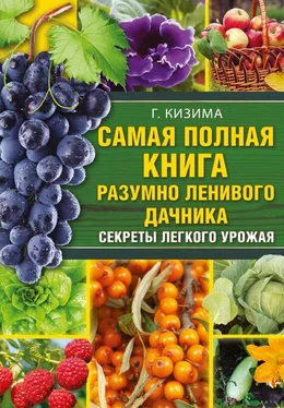 Галина Кизима Самая полная книга разумно ленивого дачника. Секреты легкого урожая обложка книги