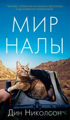 Дин Николсон - Мир Налы