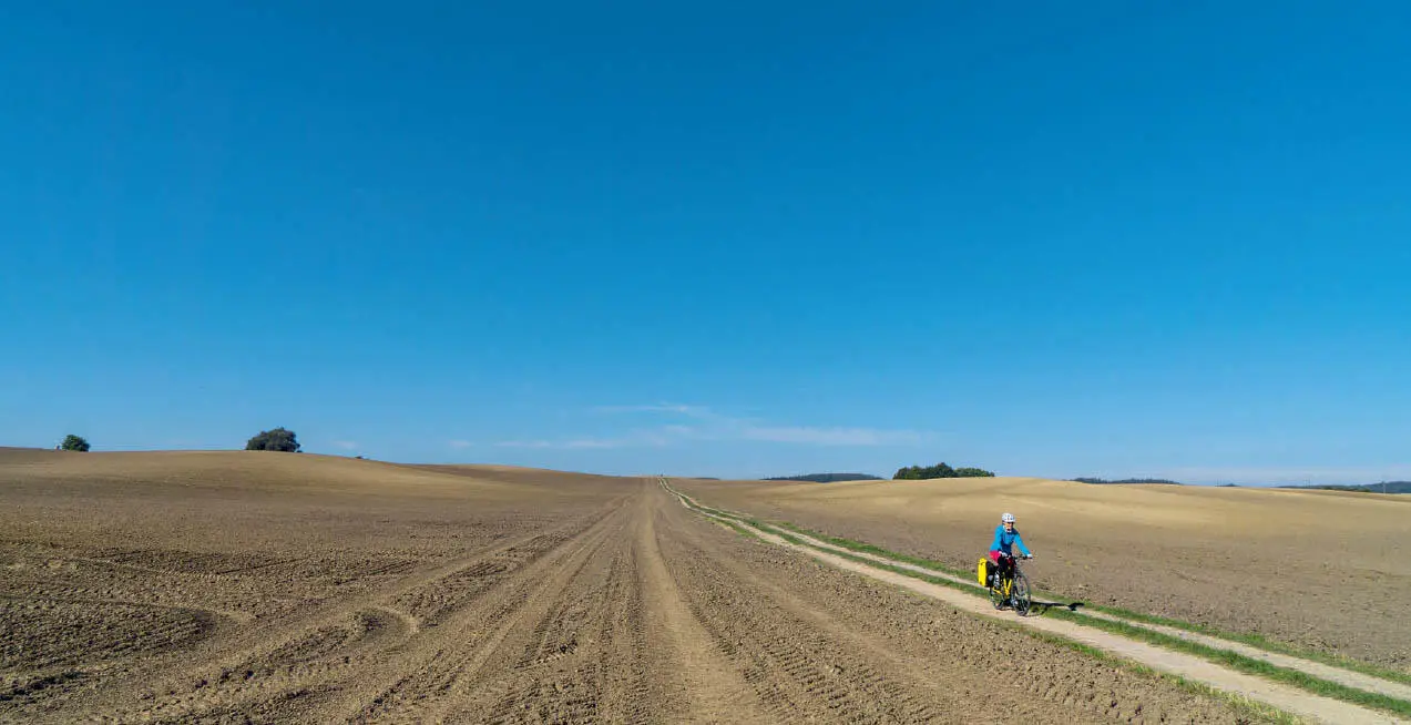 Agrarsteppe Sonst wachsen Raps und Mais auf den quadratkilometergroßen Äckern - фото 37
