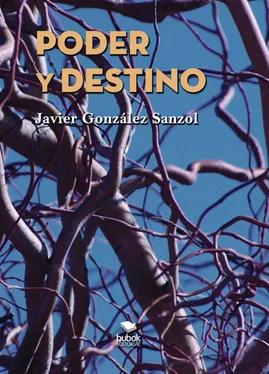 Javier González Sanzol Poder y destino обложка книги