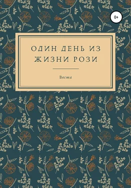 Веста Один день из жизни Рози обложка книги