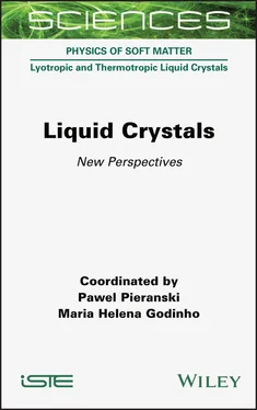 Pawel Pieranski Liquid Crystals обложка книги