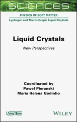 Pawel Pieranski - Liquid Crystals